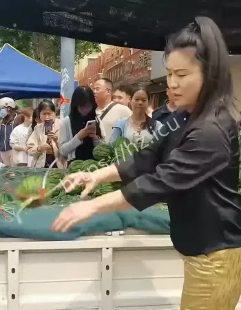 山东西瓜姐