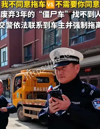 僵尸车车主拒拖车